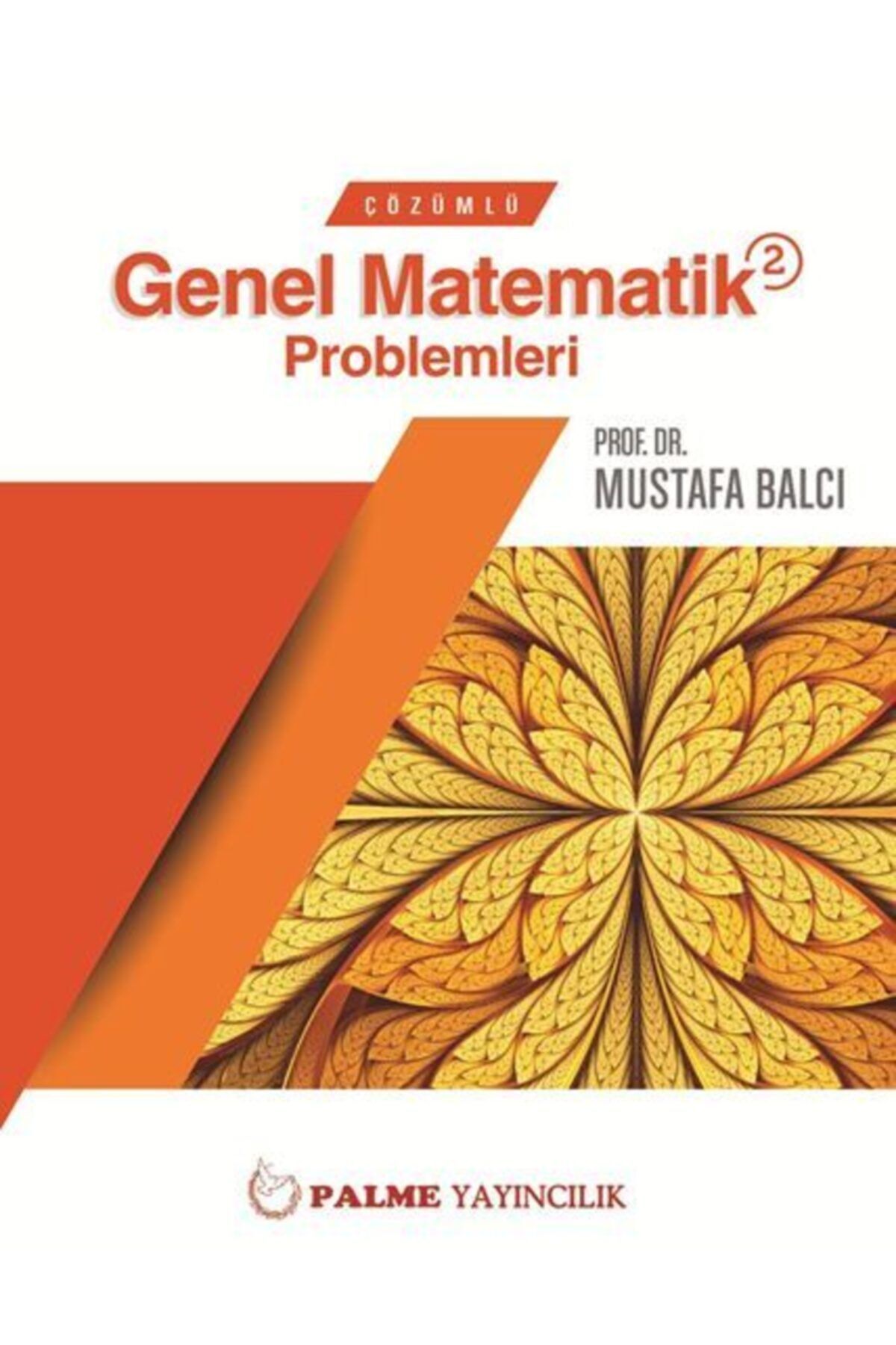 Çözümlü Genel Matematik 2 Problemleri