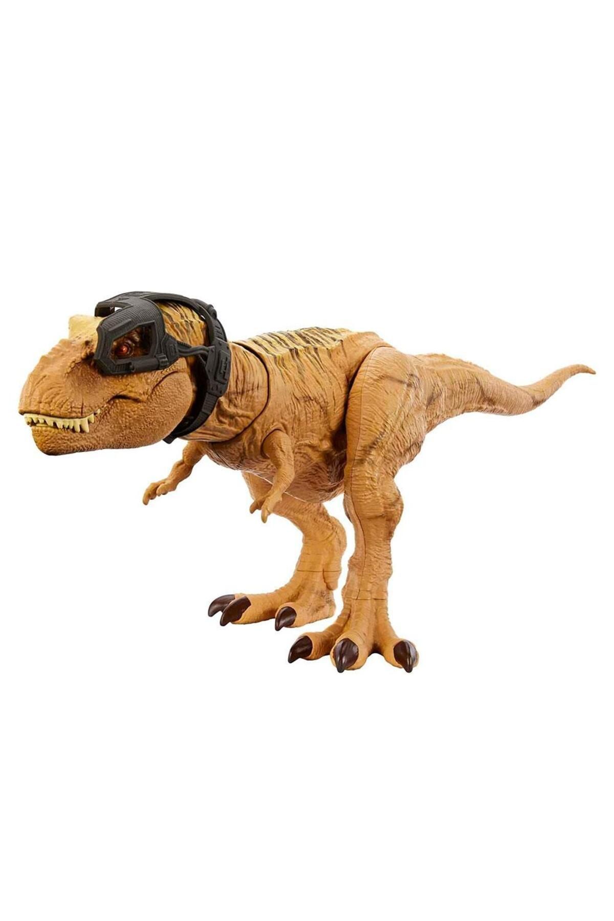 Hunt N Chomp Tyrannosaurus Rex Hnt62