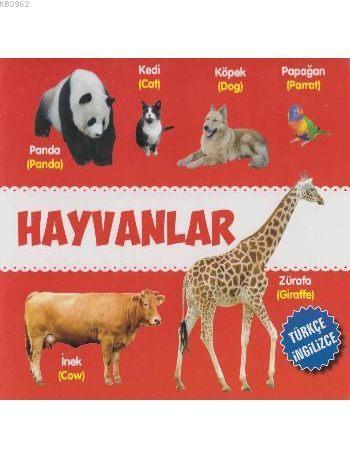 Parıltı Yayınları Hayvanlar Türkçe İngilizce