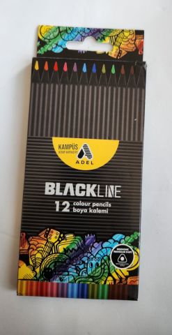 Adel Blackline 12 Renk Kuru Boya Karton Kutu