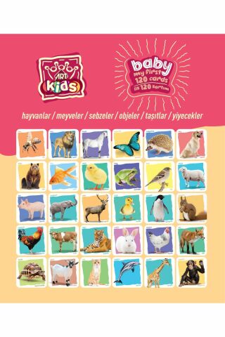 Art Kids Baby İlk Eğitici Kartlarım