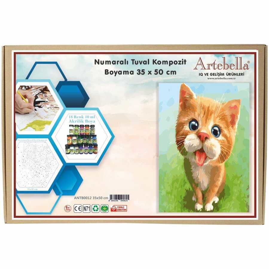 Artebella 35x50 Numaralı Kompozit Tuval Boyama Kedi