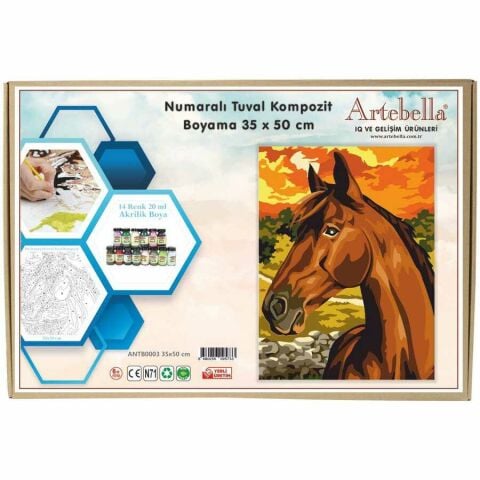 Artebella 35x50 Numaralı Kompozit Tuval Boyama At