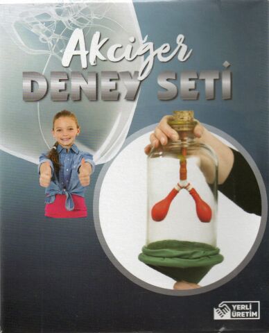 Bozkırlı Akciğer Modeli Deney Seti