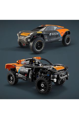 ® Technic NEOM McLaren Extreme E Race Car 42166  - 7 Yaş ve Üzeri İçin Yapım Seti (252 Parça)